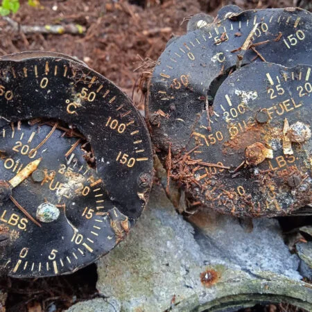 96V BuNo 49654 wreck site, 2021