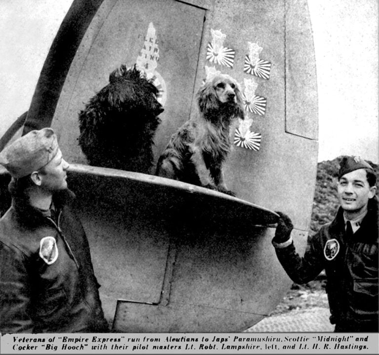 VB-139 Lt. Robert Lampshire, Lt. H. R. Hastings